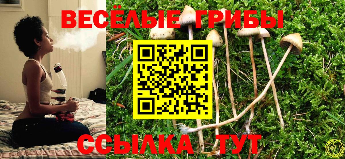 Галлюциногенные грибы мухоморы Волхов