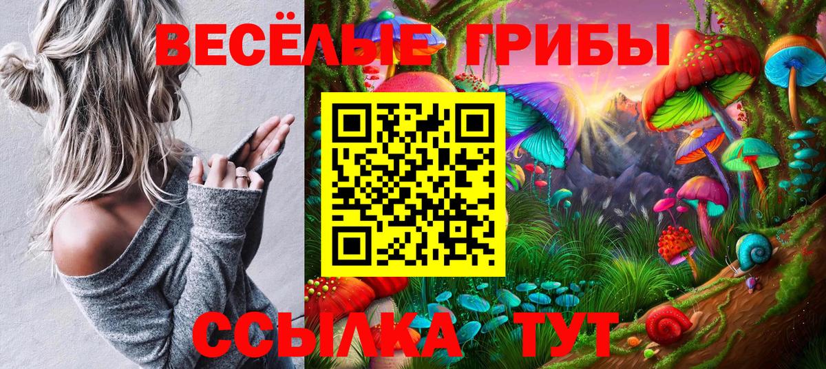 купить   Галлюциногенные грибы ЛСД  Волхов  Вход с VPN  Псилоцибиновые грибы мухоморы 